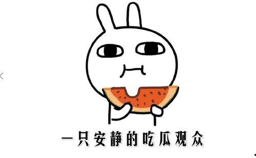 网络吃瓜啥意思是什么,揭秘虚拟世界中的围观文化